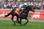 Rebel Raider Retired To Carin Park Stud