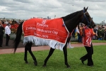 Shocking Retirement Of Melbourne Cup Winner