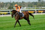 Gran Sasso Possible All-Victorian Sprint Series Contender Gran Sasso Possible All-Victorian Sprint Series Contender
