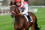 Tollesprit Breathing Easier Ahead Of Flemington Final Tollesprit Breathing Easier Ahead Of Flemington Final