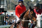 Les Gets Larrikin For Spring Carnival Les Gets Larrikin For Spring Carnival