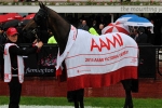 Victoria Derby Winner Lion Tamer Plans Spring Onslaught Victoria Derby Winner Lion Tamer Plans Spring Onslaught