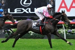 Maluckyday On Verge Of Spring Carnival Start Maluckyday On Verge Of Spring Carnival Start