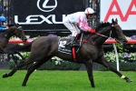 Melbourne Cup Hopefuls Head Strong Geelong Cup Entries