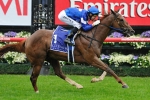 Star Witness Favourite For Kings Stand Star Witness Favourite For Kings Stand