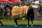 Americain Confirmed For 2011 Melbourne Cup Americain Confirmed For 2011 Melbourne Cup
