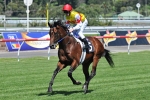 Speedy Colt Has $1.8 Million Yearling Running In Decircles Speedy Colt Has $1.8 Million Yearling Running In Decircles