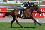 Shamrocker Could End 22-Year Drought For Fillies Shamrocker Could End 22-Year Drought For Fillies