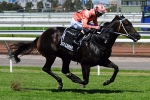 Black Caviar To Face Eight Rivals In Schillaci Stakes