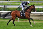 I’m Imposing, But Not Over 3200m I’m Imposing, But Not Over 3200m