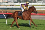 Tempo and tactics to decide SA Derby Tempo and tactics to decide SA Derby