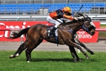 December Draw unknown at 2400m of the Caulfield Cup