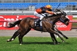December Draw runs 2400m on breeding – probably not! December Draw runs 2400m on breeding – probably not!