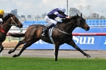 Riding tactics for Lloyd Williams’ stars on Derby day Riding tactics for Lloyd Williams’ stars on Derby day
