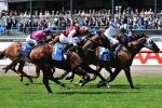 Galah wins the 2011 Carbine Club Stakes just!