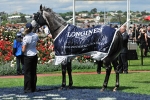 Glass Harmonium wins 2011 Mackinnon Stakes