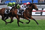 Hurtle Myrtle Proves Too Good For More Joyous In Myer Classic Hurtle Myrtle Proves Too Good For More Joyous In Myer Classic