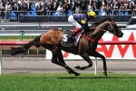 Niwot Earns Coveted Melbourne Cup Spot For Hawkes’ Stable Niwot Earns Coveted Melbourne Cup Spot For Hawkes’ Stable