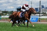 Sepoy Made To Work In Coolmore Stakes Win