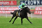 African Pulse on trial for Spring Carnival