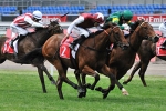 Snowden’s Cup tip and winner Snowden’s Cup tip and winner