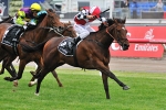 Kitty Launched Into Magic Millions Combat Kitty Launched Into Magic Millions Combat