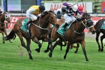 Walter Cup tip and Foxstar may back up Walter Cup tip and Foxstar may back up