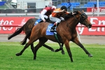 Sophie’s Spirit Wins Cup Day’s Herald Sun Stakes Sophie’s Spirit Wins Cup Day’s Herald Sun Stakes