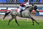 Dash For Viz Salutes In A Sea Of Grey Dash For Viz Salutes In A Sea Of Grey