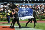 Instinction Wins Hilton Hotel Stakes In A Head Bob