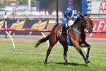Ironstein to bypass Caulfield for Melbourne cup