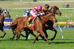 Four winners for Williams as Hi Belle wins at Sandown Hillside Four winners for Williams as Hi Belle wins at Sandown Hillside