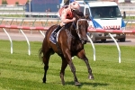 Black Caviar Confirmed for Sportingbet Classic Black Caviar Confirmed for Sportingbet Classic