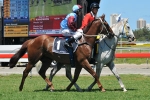 Cover Crucial For Chateau Fort In Grand Prix Cover Crucial For Chateau Fort In Grand Prix