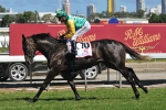 Fantastic Blue Prepares For Newcastle Cup Test Fantastic Blue Prepares For Newcastle Cup Test