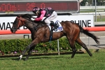 Gold Coast Guineas Captured By Military Gold Coast Guineas Captured By Military