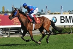 Voice Commander Charges To Wagga Wagga Gold Cup Win