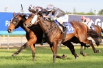 Shez Sinsational heading to Doomben after Hollindale win