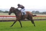 Chris Munce Books Ripper Stradbroke Day Card Chris Munce Books Ripper Stradbroke Day Card