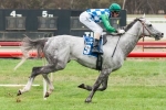 Puissance De Lune In P.B. Lawrence Stakes Final Field