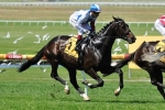 2013 Melbourne Cup Trophy Tour Dates Announced 2013 Melbourne Cup Trophy Tour Dates Announced