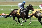 2013 Melbourne Cup Trophy Tour Dates Announced