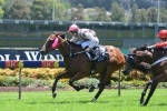 Vandyke Sets Rosehill Mission For Fill The Page