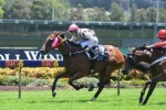 Vandyke Sets Rosehill Mission For Fill The Page Vandyke Sets Rosehill Mission For Fill The Page