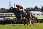 Redzel to be tested the Melbourne way in Resimax Stakes Redzel to be tested the Melbourne way in Resimax Stakes