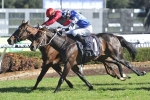 Singing in tune for hat trick in Gosford Gold Cup