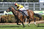 Ryan yet to confirm Golden Rose Stakes start for Tango Rain