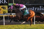 Winter Cup to Determine Path for Foreign Prince