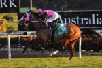 Winter Cup to Determine Path for Foreign Prince Winter Cup to Determine Path for Foreign Prince