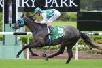 Coolring short priced favourite for Weetwood Handicap Coolring short priced favourite for Weetwood Handicap